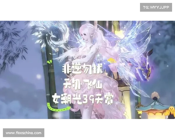 飞仙勿扰攻略-飞仙勿扰攻略图：飞仙攻略：轻松证道飞升之旅